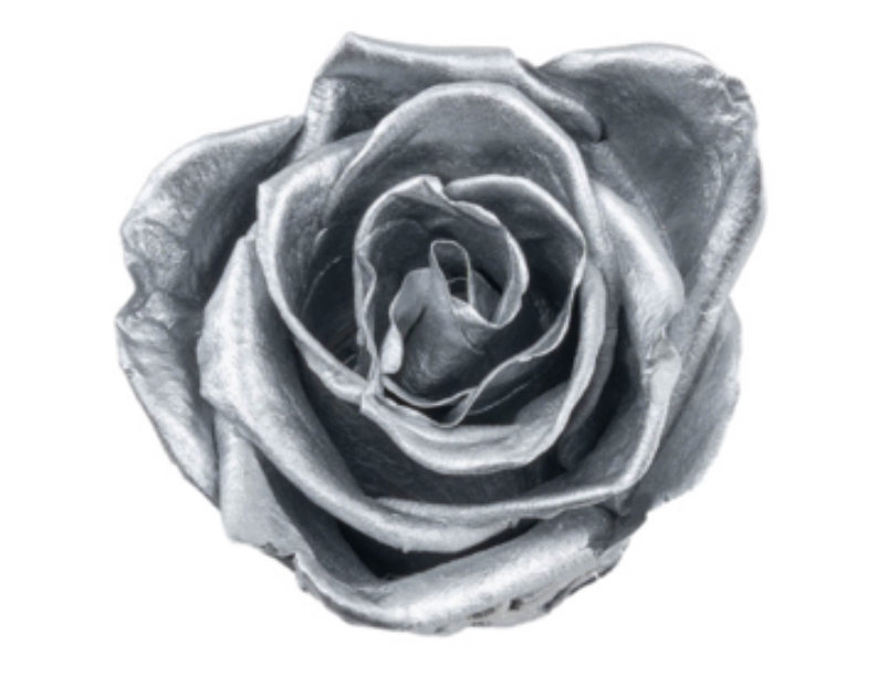 silver grey BX008 / rose (single-colour)