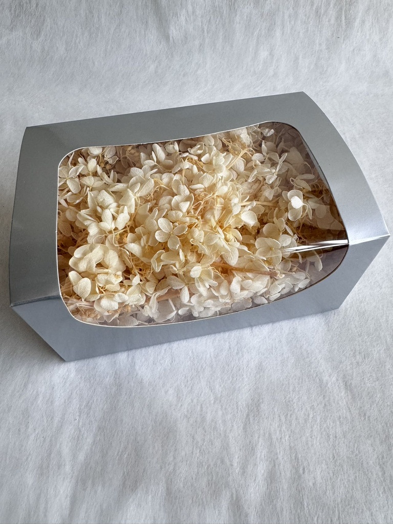 creamy white / hydrangea (petal )