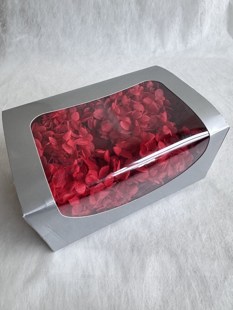 red / hydrangea (petal )