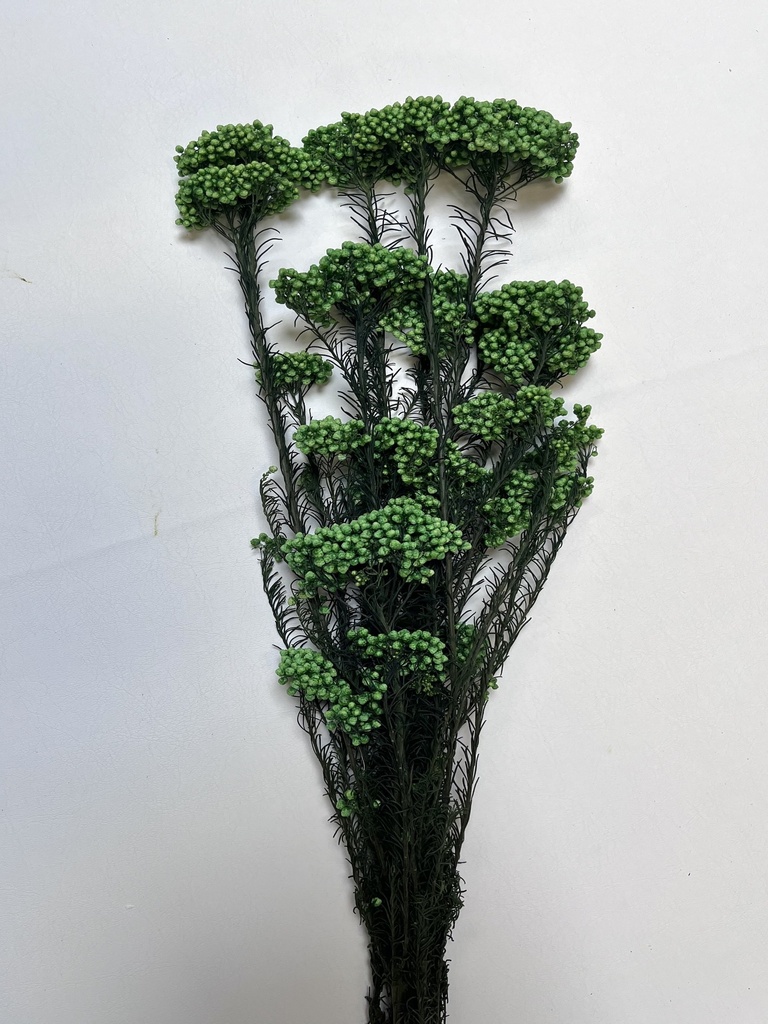green/rice flower