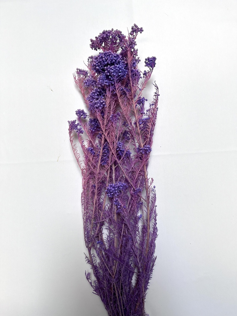 purple/rice flower
