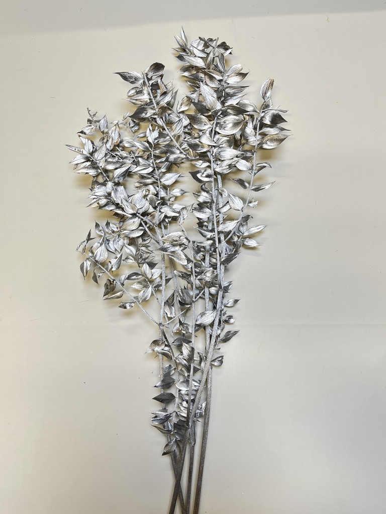 silver / Italian ruscus