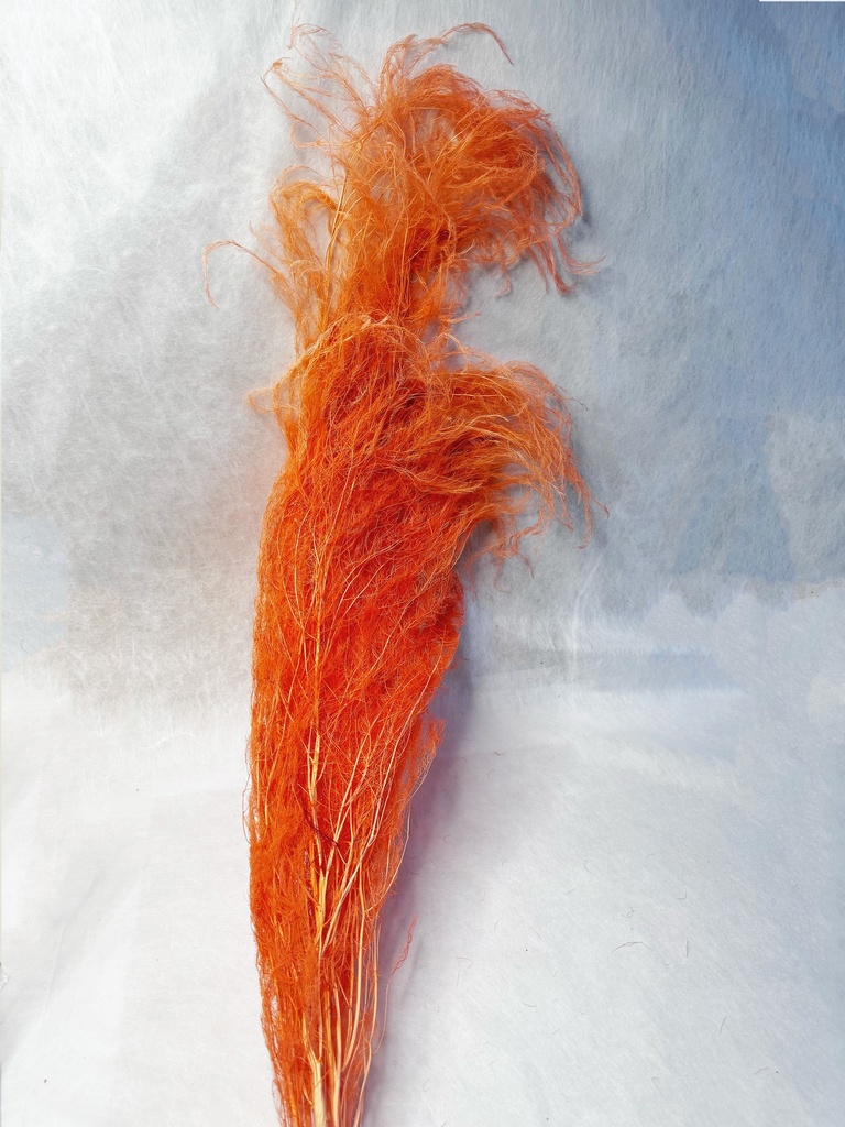 orange /chinese alpine rush