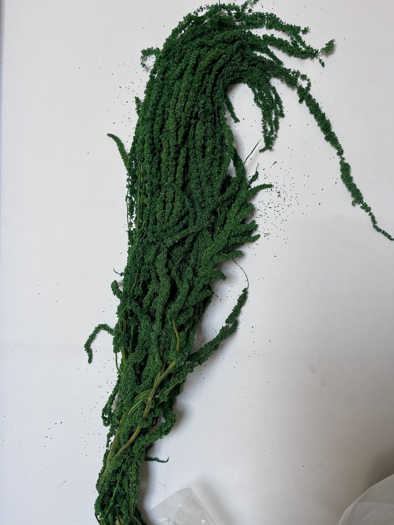dark green/amaranthus