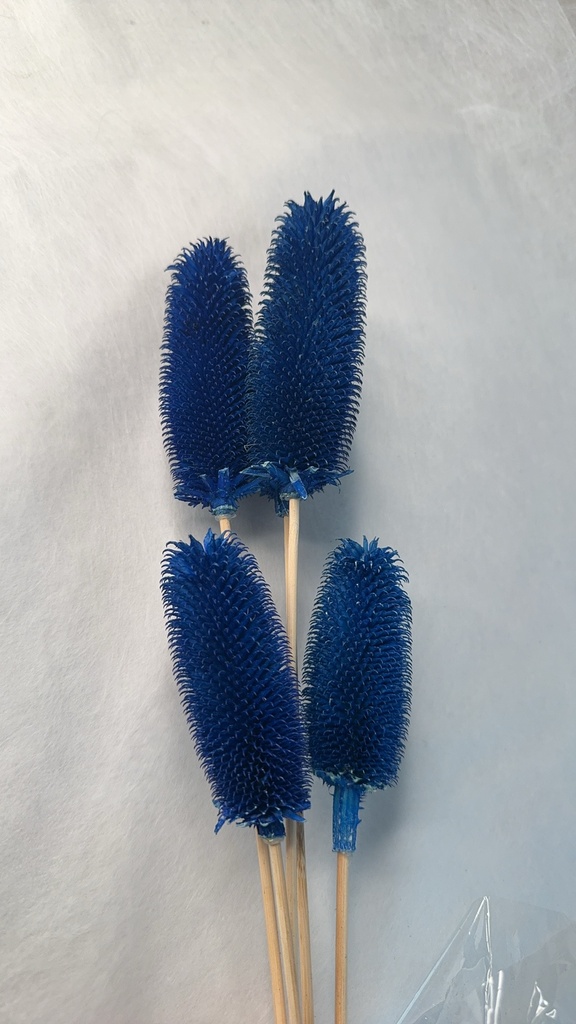 royal blue / thistle pods
