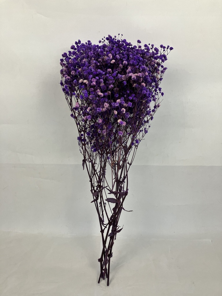 Dual-Tone Purple/Bleached Gypsophila 