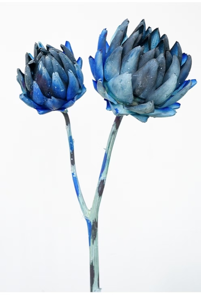 Cosmic blue/Artichoke/Single Stem
