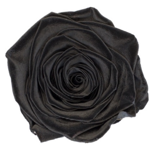 [black] black BX008 / rose (single-colour)