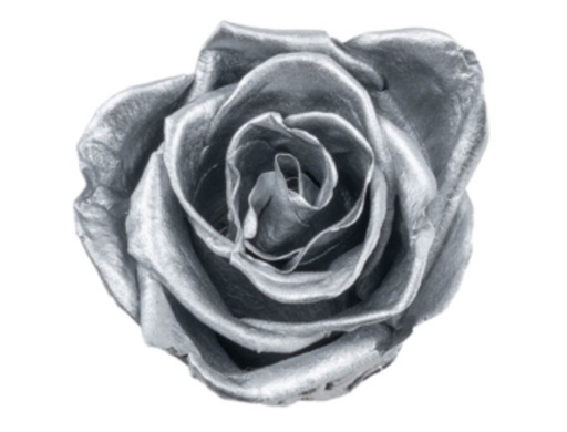 [silver] silver grey BX008 / rose (single-colour)