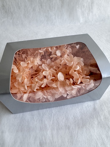 [Champegne] champagne / hydrangea (petal )