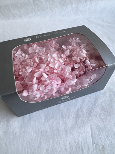 [Sakura Pink] sakura pink / hydrangea (petal )