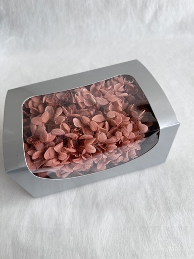 burnt umber / hydrangea (petal )