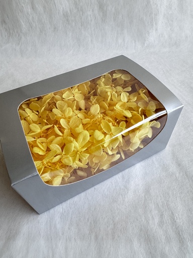 [Dark Yellow] dark yellow / hydrangea (petal )