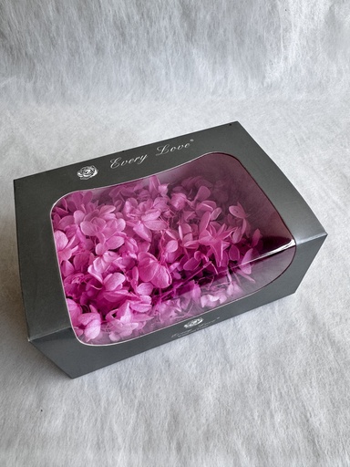 [Bulish Purple] crimson purple / hydrangea (petal )