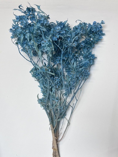 [light blue]  light blue/butterfly flower