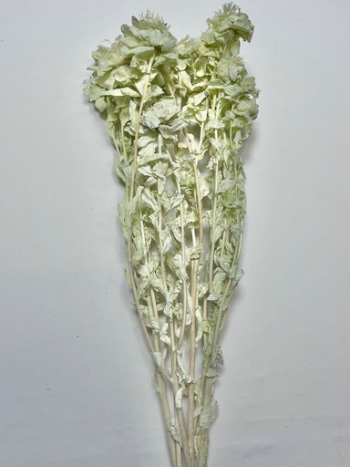 [light green] light green/orange pineapple flower