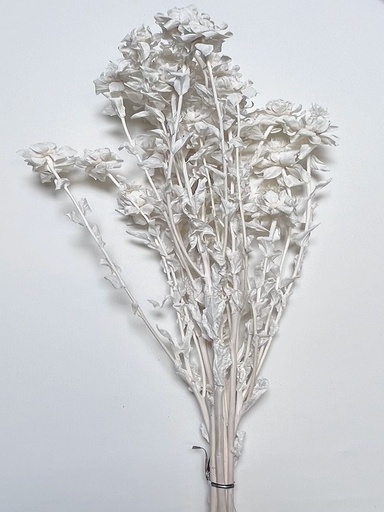 [white] white/orange pineapple flower