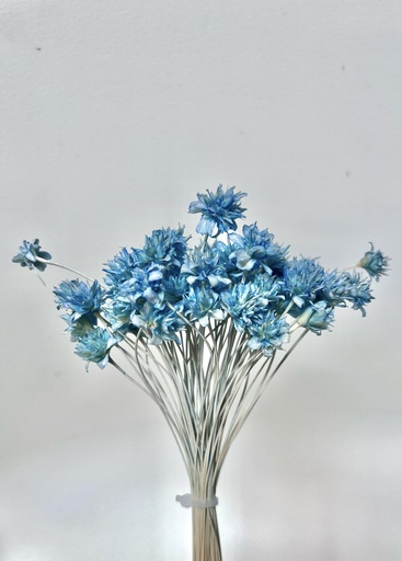 [sky blue] sky blue/small mountain flower（mini cone flower）