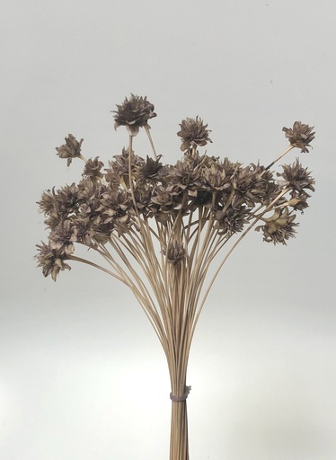 [caramel] caramel/small mountain flower（mini cone flower）