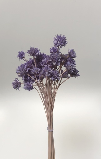 [lavender] lavender/small mountain flower（mini cone flower）