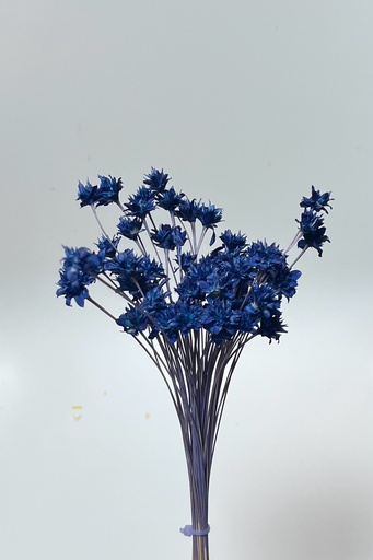 [royal blue] royal blue/small mountain flower（mini cone flower）