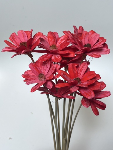 [Dark red] dark red/sola wood petite flower