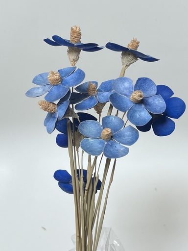 [Royal blue] royal blue/sola wood petite flower
