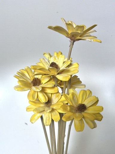 golden yellow/sola wood petite flower