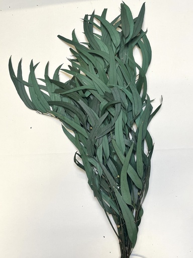 [Green] Millet fruit leaf