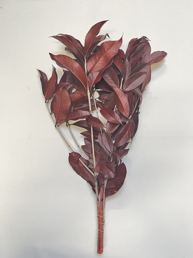 [Red] osmanthus