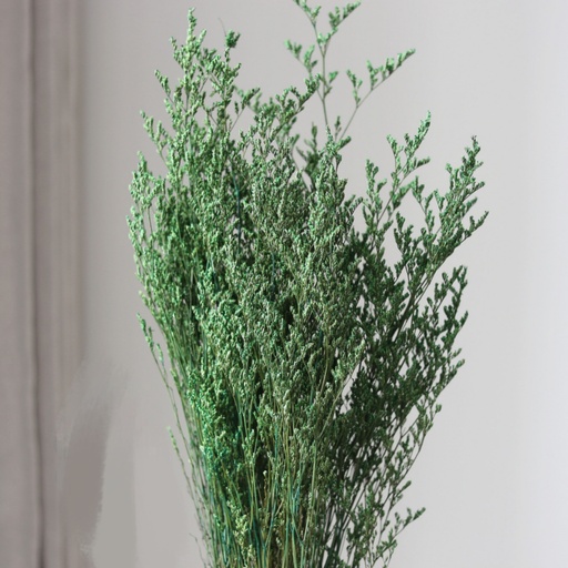 [Green] green/limoniums/caspia (lover grass)