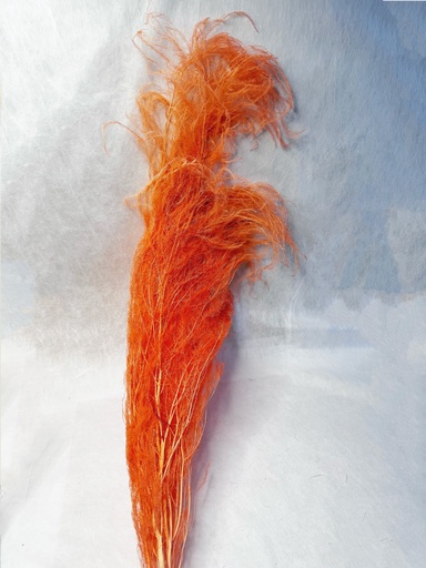 [orange] orange /chinese alpine rush