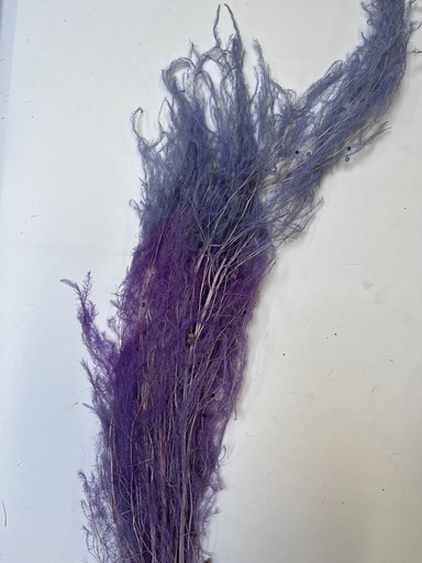 [Light Purple] light purple/chinese alpine rush