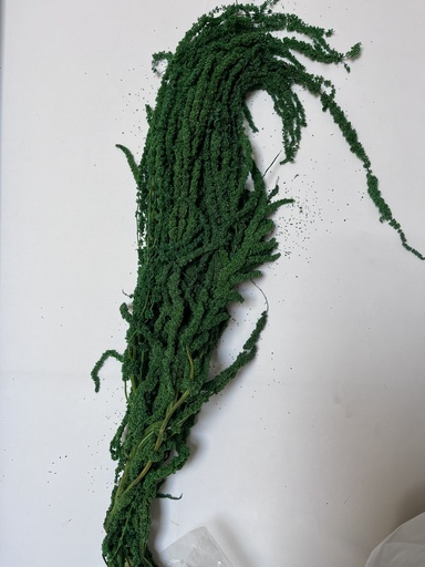 [dark green] dark green/amaranthus