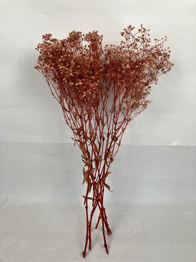 [light pink] light pink (new) / gypsophila
