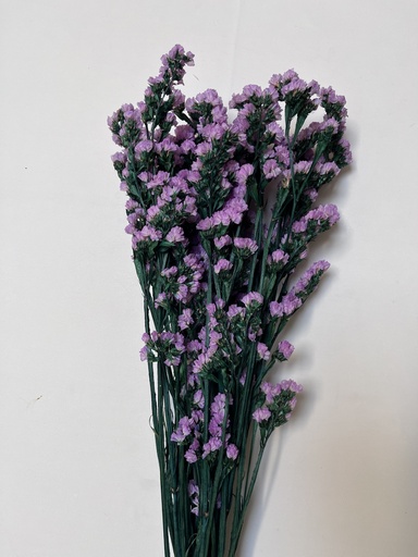 [Purple] Preserved Statice