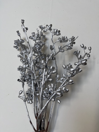 [Silver] silver/eucalyptus fruit 