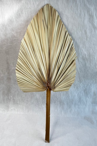 [Nature color] natural color/large/palm fan