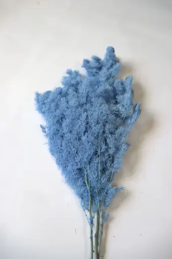 [bluish purple] sky blue / ming fern