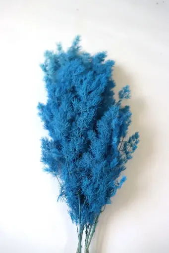 deep blue / ming fern