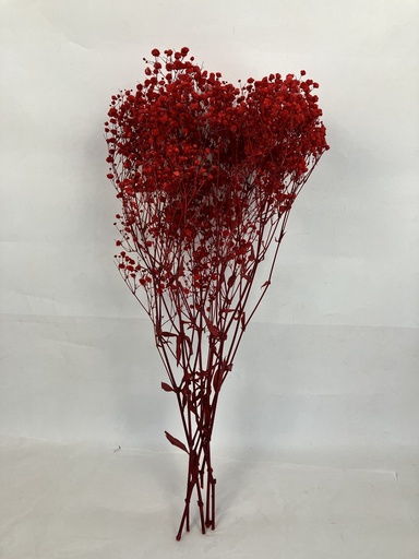 [Red] Red/Bleached Gypsophila 