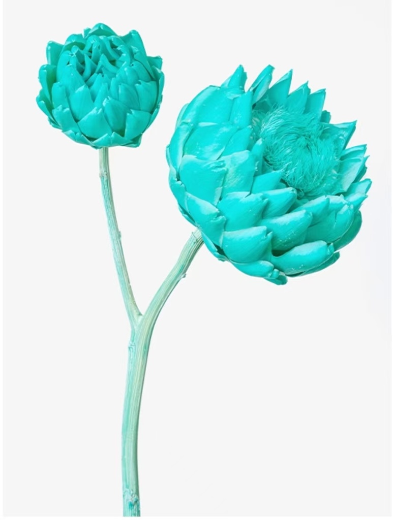 Artichoke/Single Stem/Tiffany Blue 