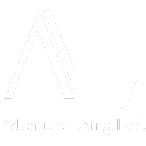 My Website